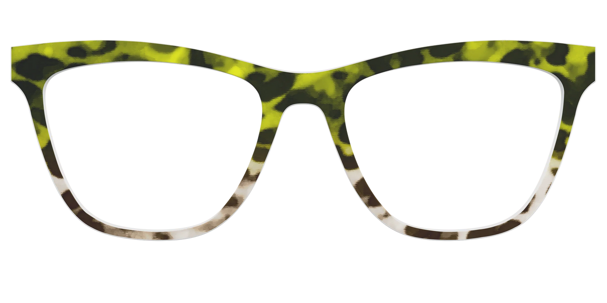 The Avocado to Ivory Tortoise