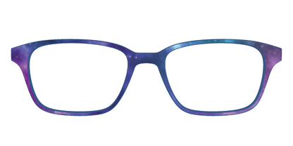 The Galaxy