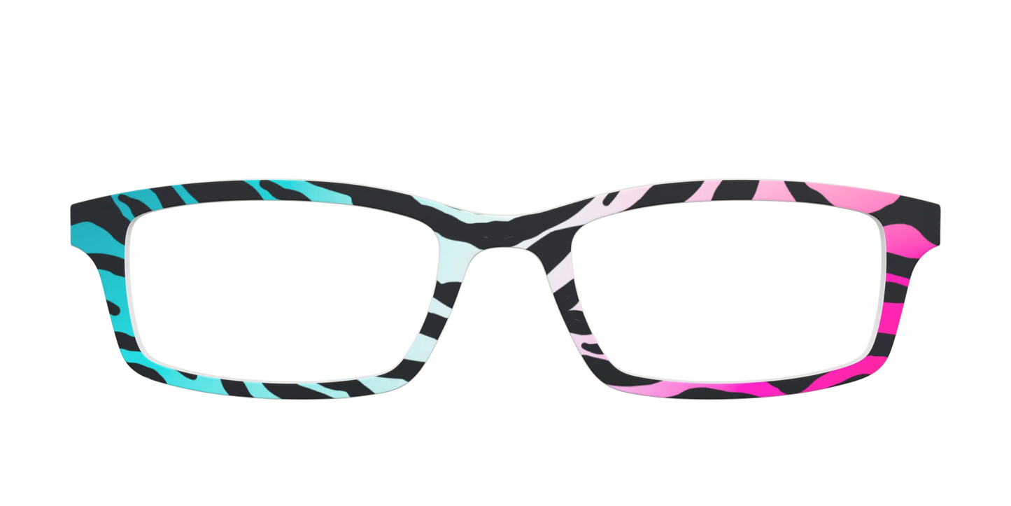 The Rainbow Zebra