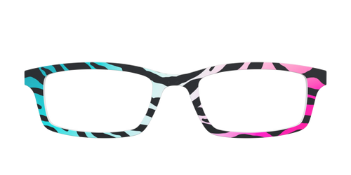 The Rainbow Zebra