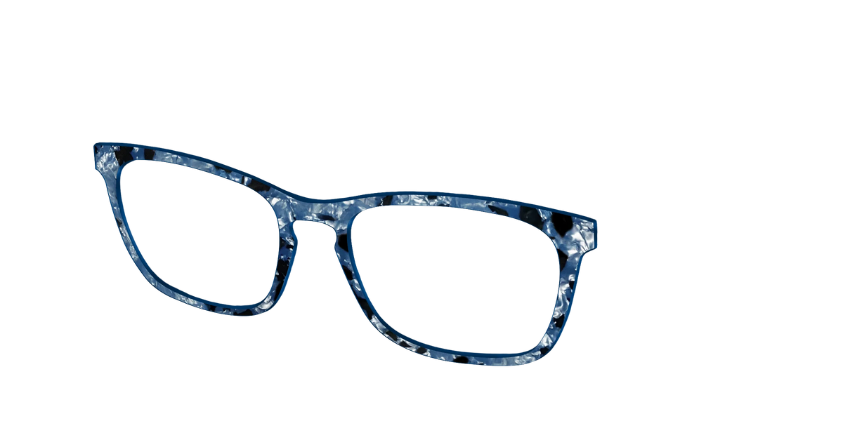 The Midnight Blue Pearl Tortoise