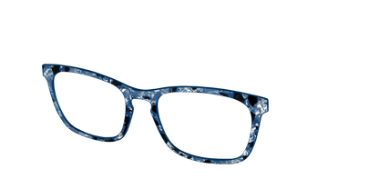 The Midnight Blue Pearl Tortoise
