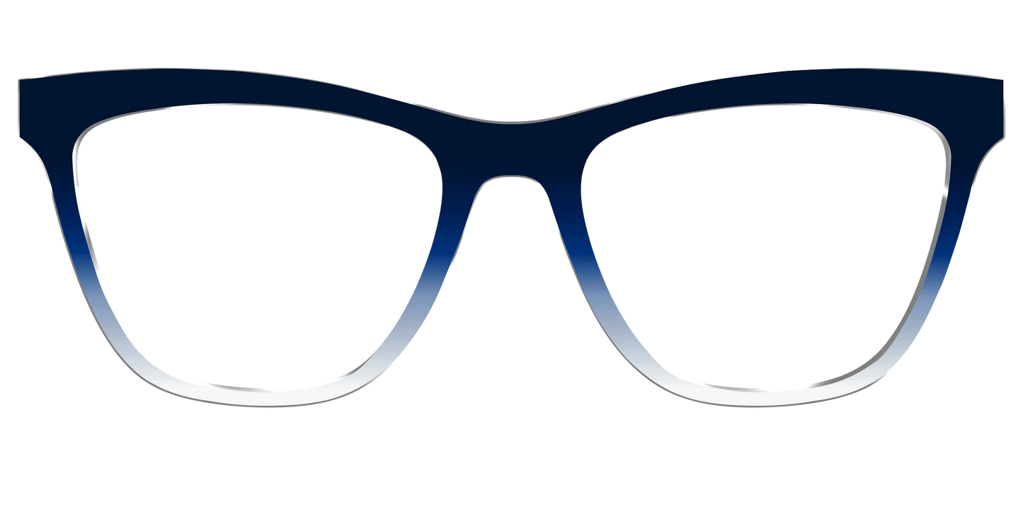 The Navy to White Gradient