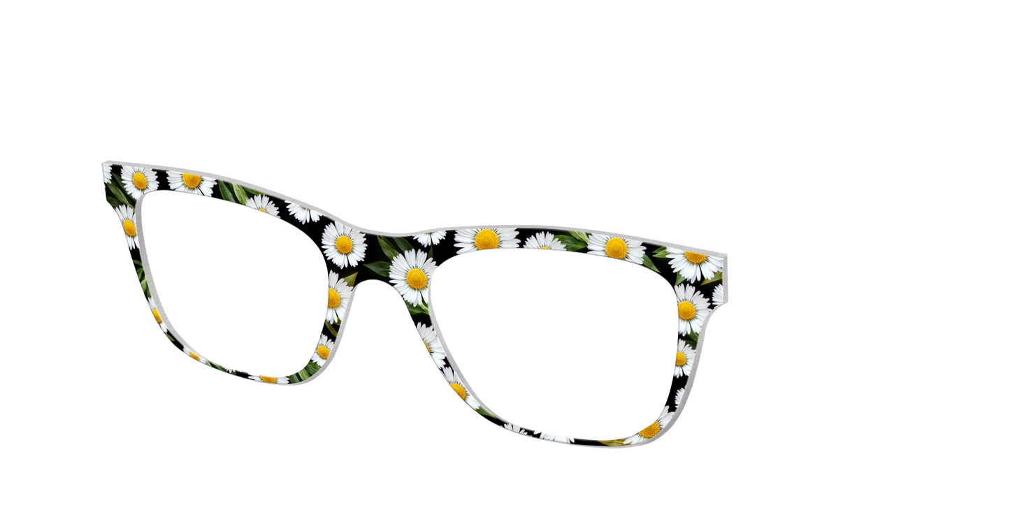 The Delicate Daisies