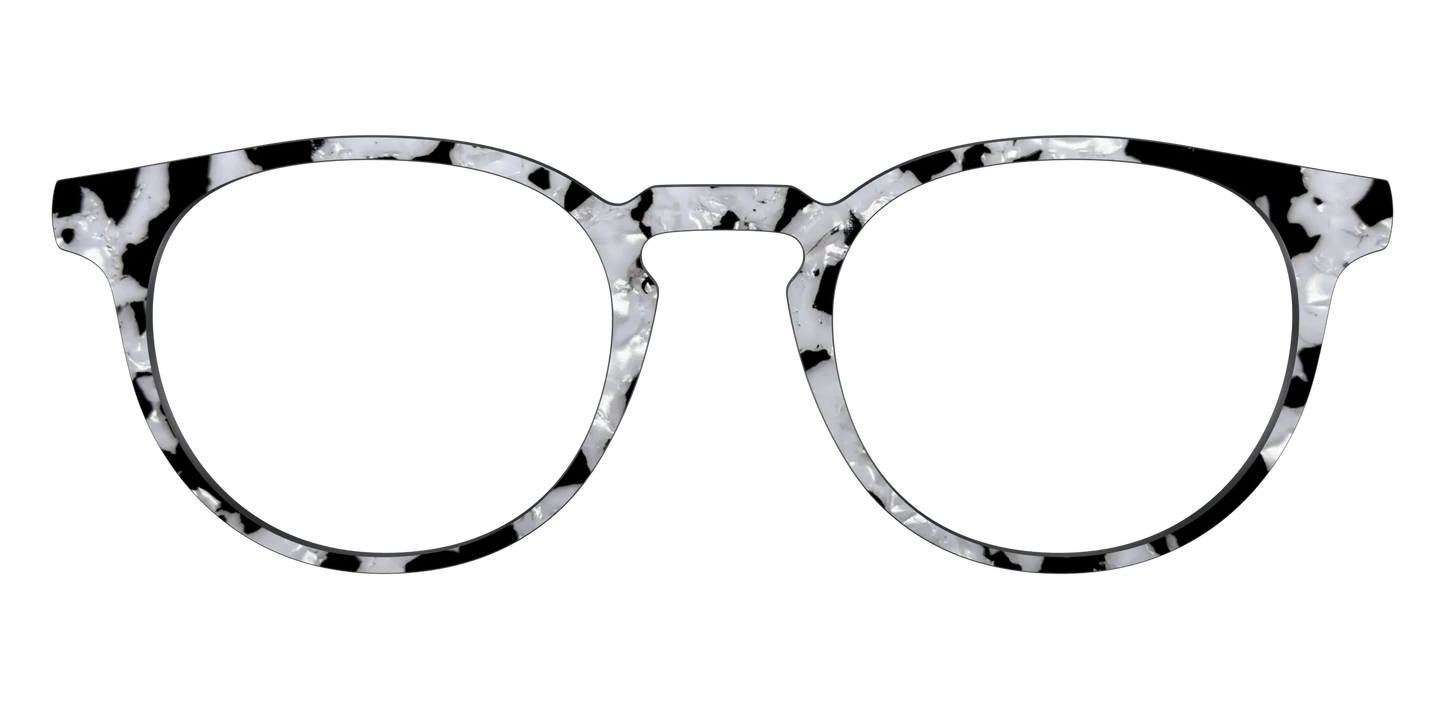 The Black & White Pearl Tortoise