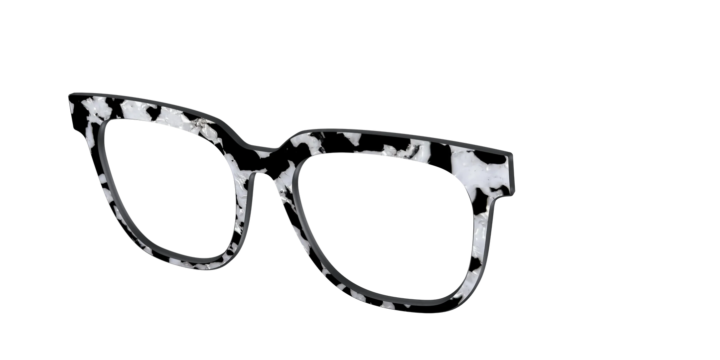 The Black & White Pearl Tortoise