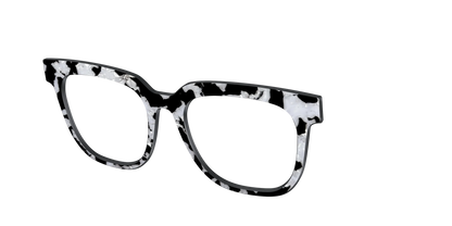The Black & White Pearl Tortoise