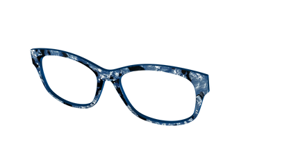The Midnight Blue Pearl Tortoise