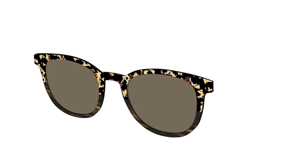 The Polarized Caramel Tortoise Horn Split Sun Top