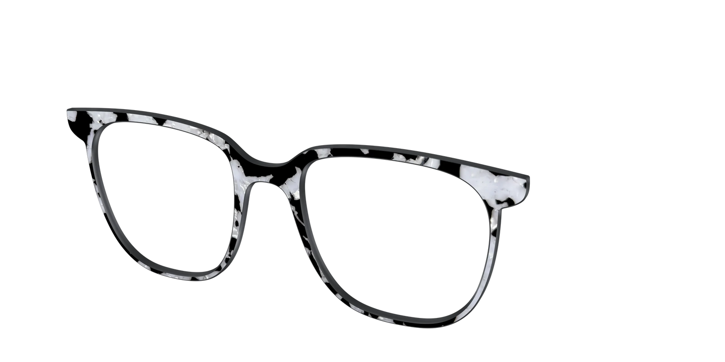 The Black & White Pearl Tortoise