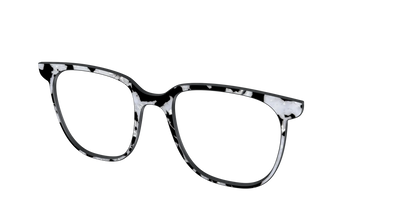 The Black & White Pearl Tortoise