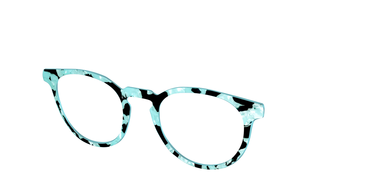 The Robin's Egg Pearl Tortoise