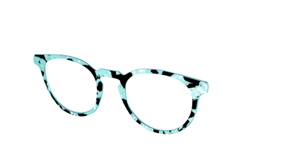 The Robin's Egg Pearl Tortoise