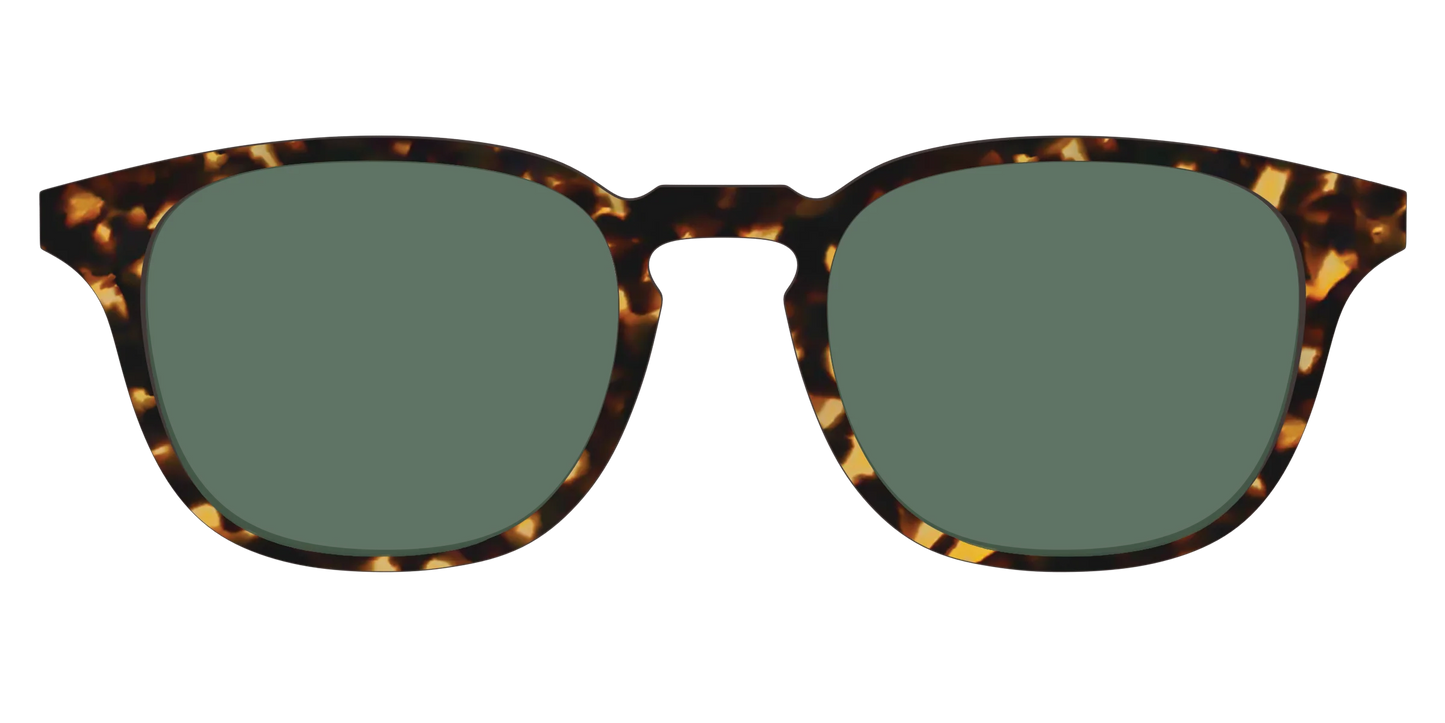 The Non-Polarized Green Tortoise Sun Top