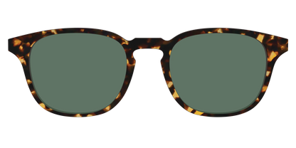 The Non-Polarized Green Tortoise Sun Top