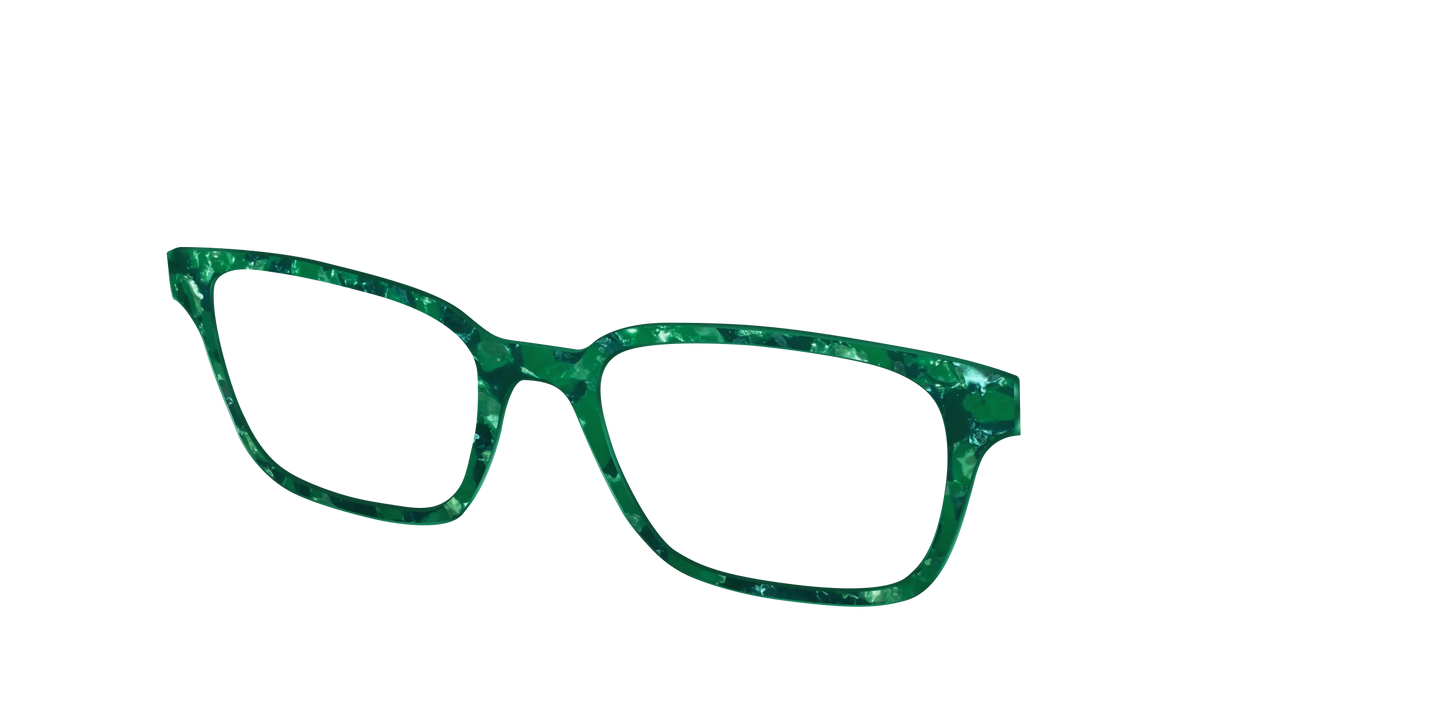 The Emerald Pearl Tortoise