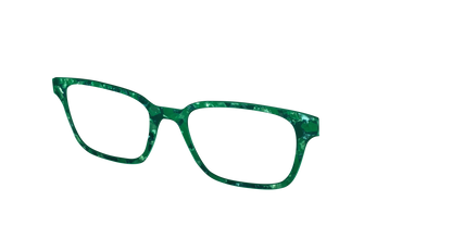 The Emerald Pearl Tortoise