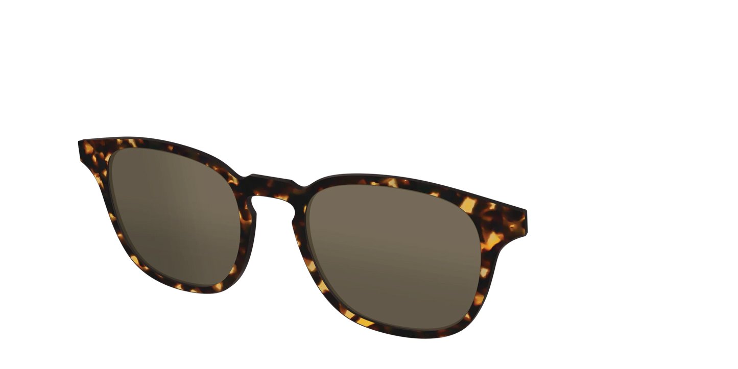 The Non-Polarized Tortoise Sun Top