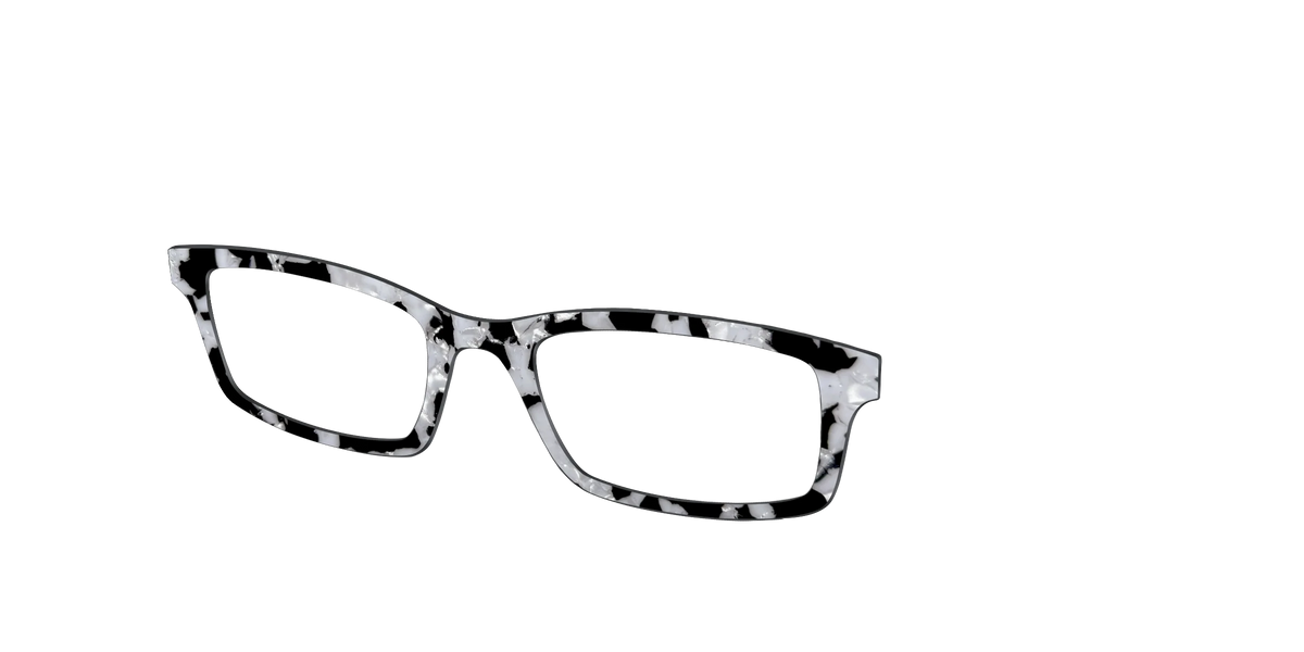 The Black & White Pearl Tortoise