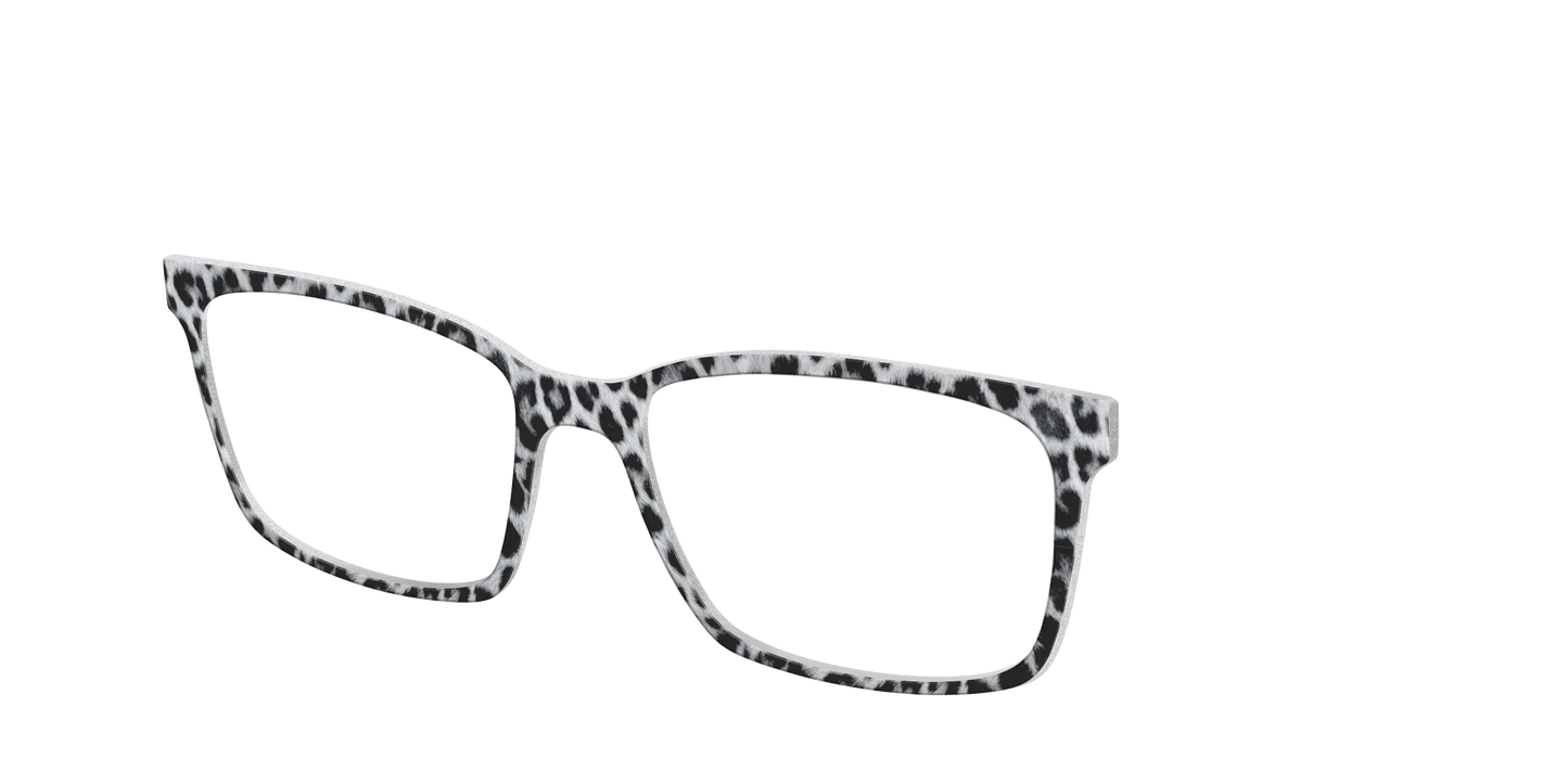 The Snow Leopard Spots
