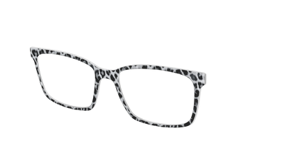 The Snow Leopard Spots