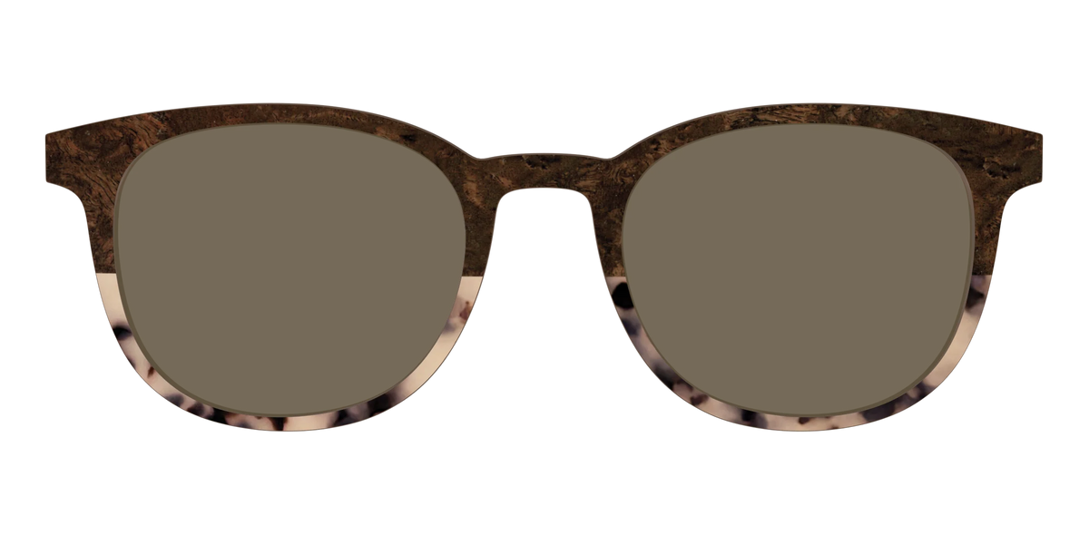 The Polarized Dark Oak Tortoise Split Sun Top