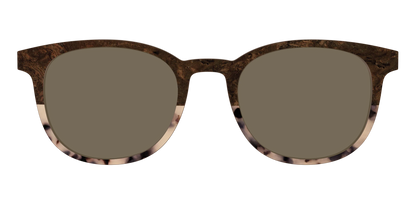 The Polarized Dark Oak Tortoise Split Sun Top