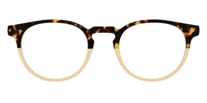 The Amber Tortoise Crystal Split