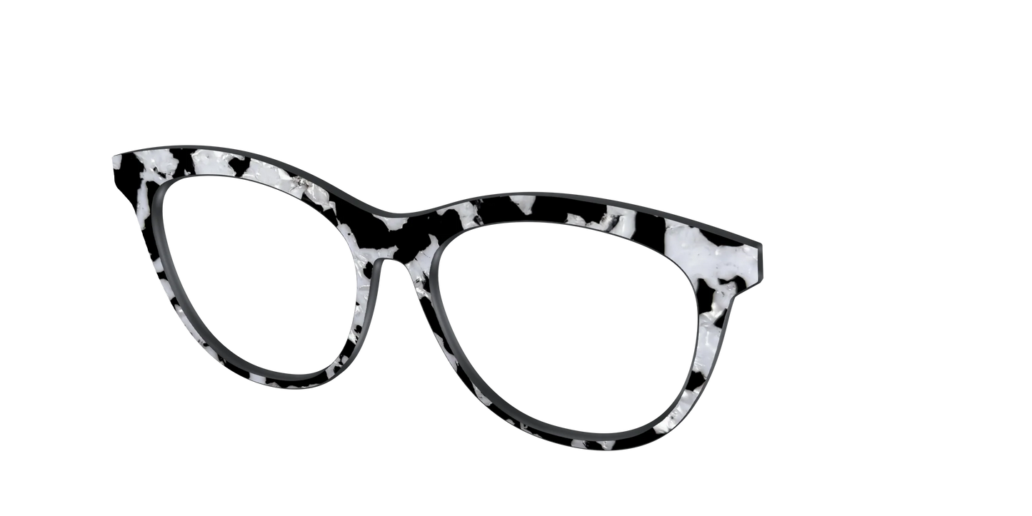 The Black & White Pearl Tortoise