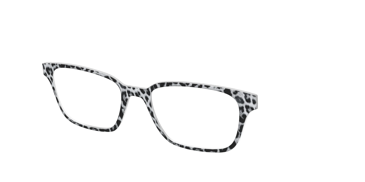 The Snow Leopard Spots