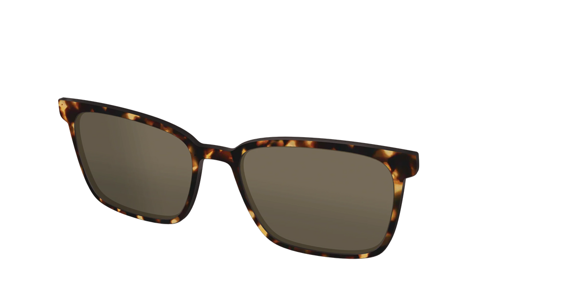 The Polarized Tortoise Sun Top