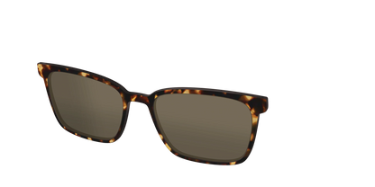 The Polarized Tortoise Sun Top