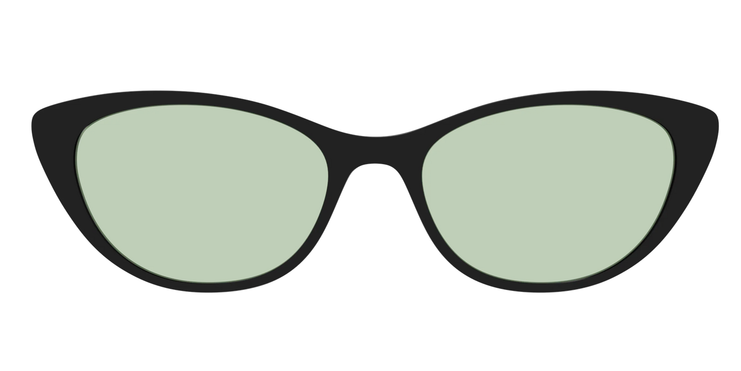 The Black With Sage Green Lens