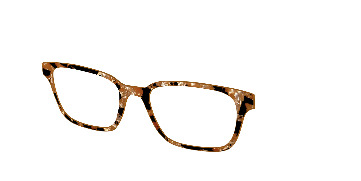 The Caramel Pearl Tortoise