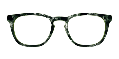 The Olive Pearl Tortoise