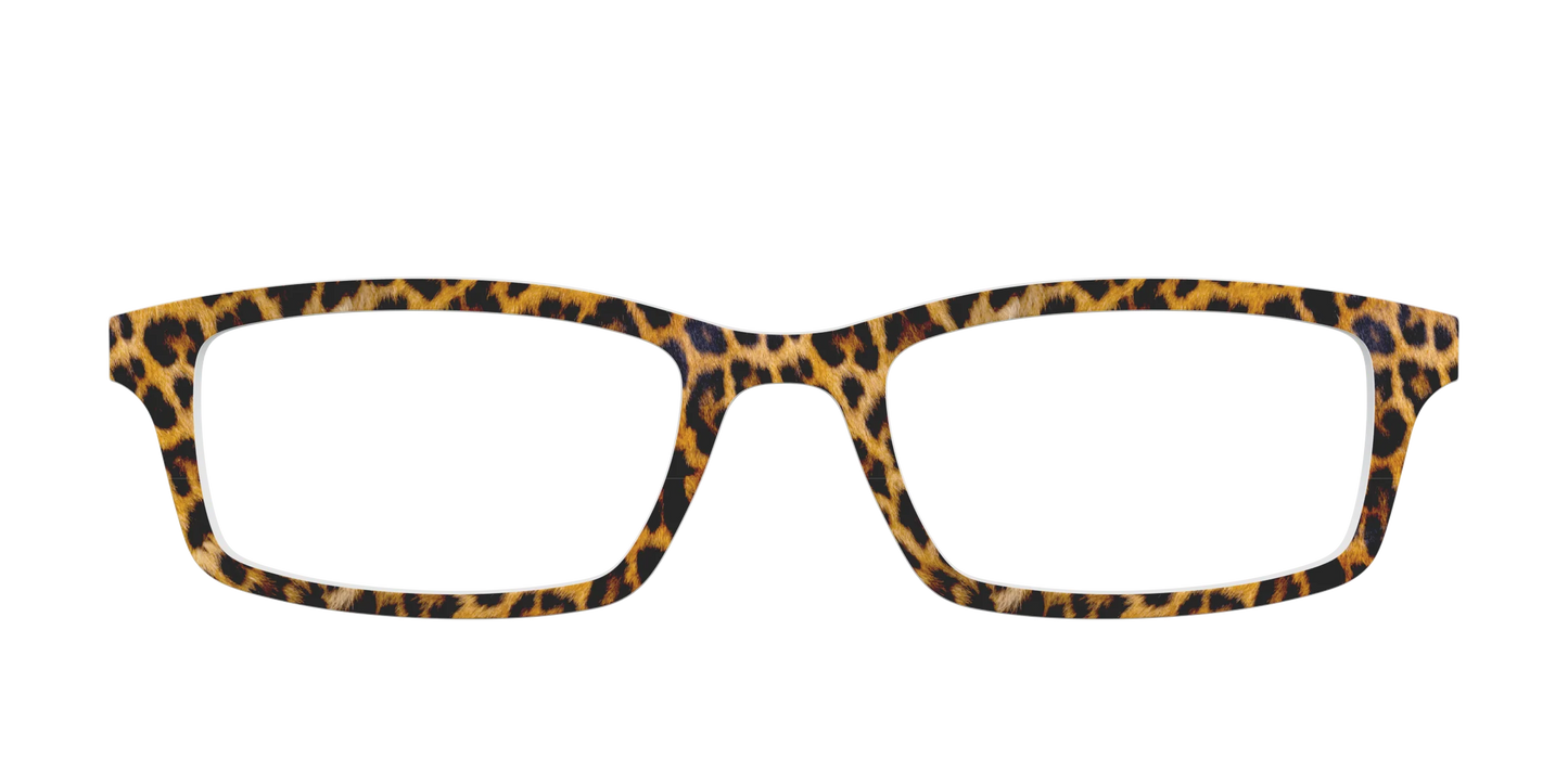 The Cheetah Spots