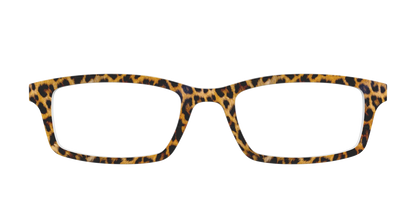 The Cheetah Spots