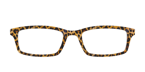 The Cheetah Spots