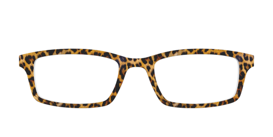 The Cheetah Spots