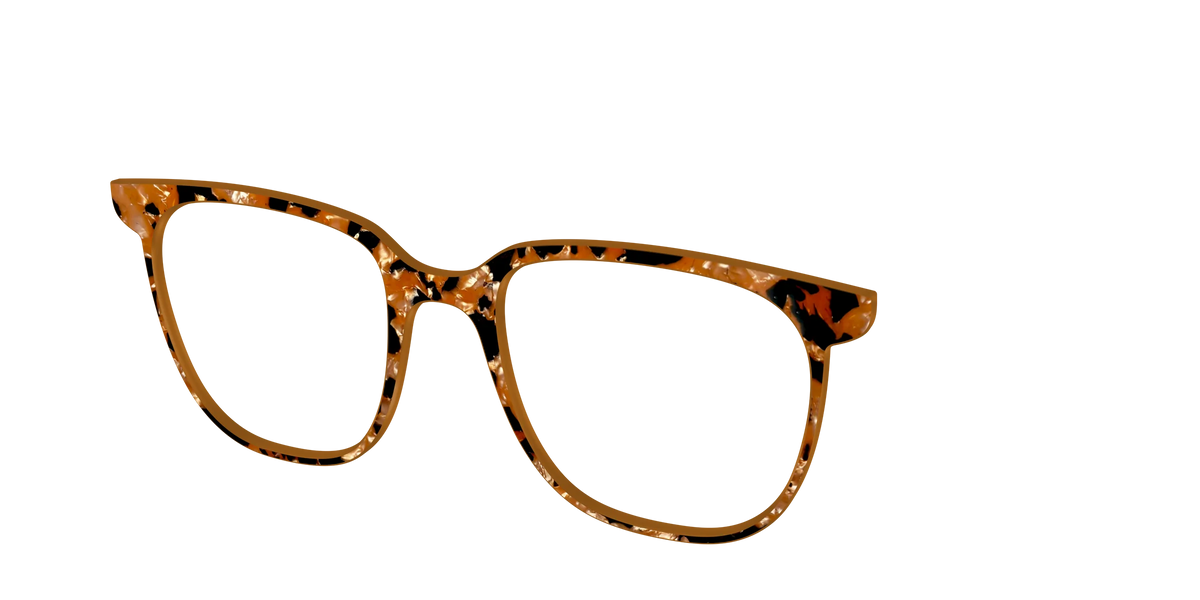 The Caramel Pearl Tortoise