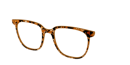 The Caramel Pearl Tortoise