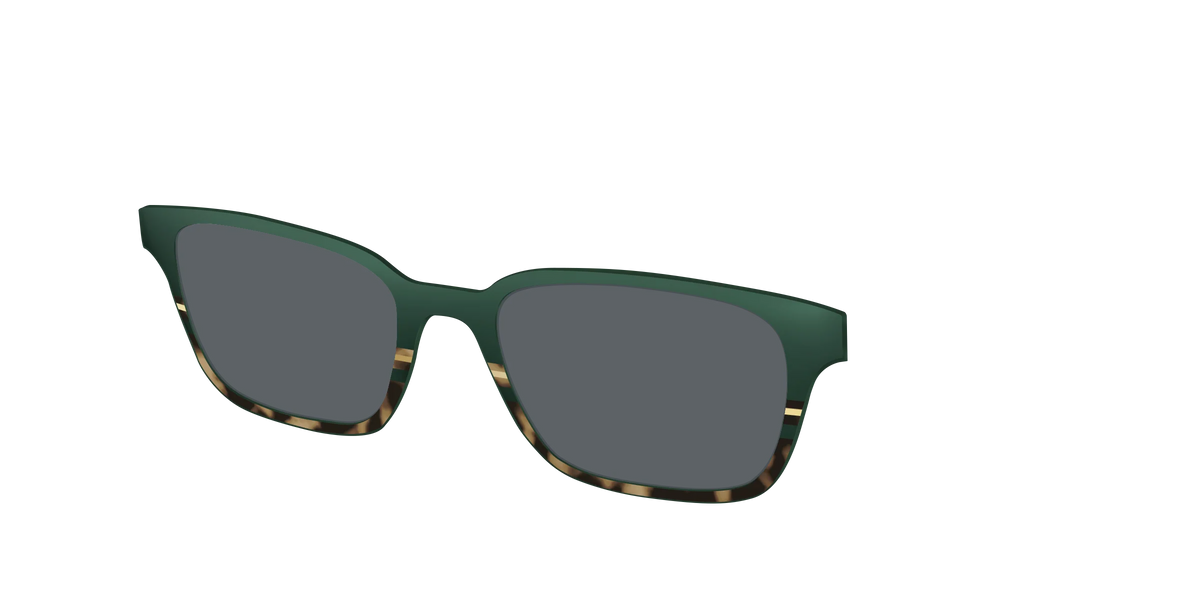 The Polarized Spruce Tortoise Sun Top