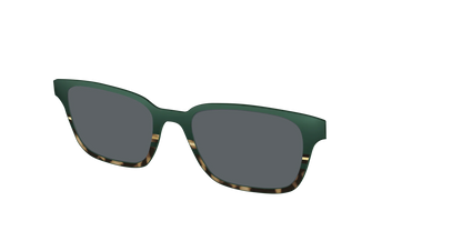 The Polarized Spruce Tortoise Sun Top