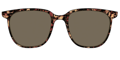 The Polarized Sienna Tortoise Sun Top