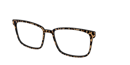 The Cheetah Spots