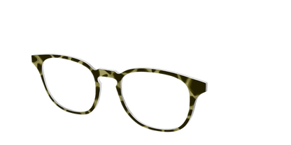 The Olive Tortoise