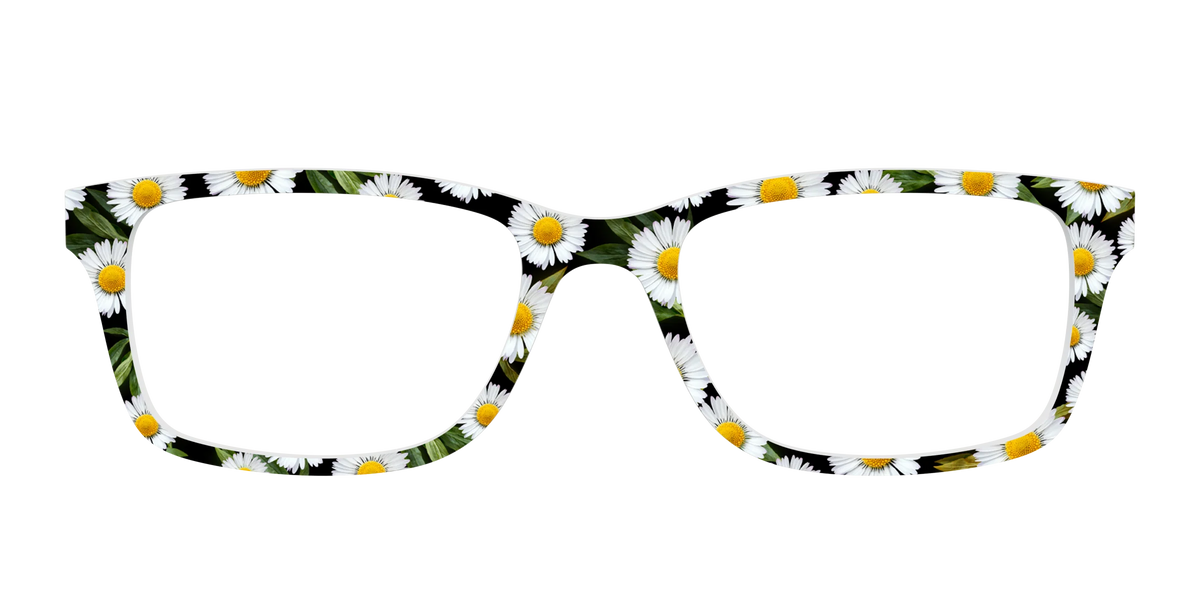 The Delicate Daisies