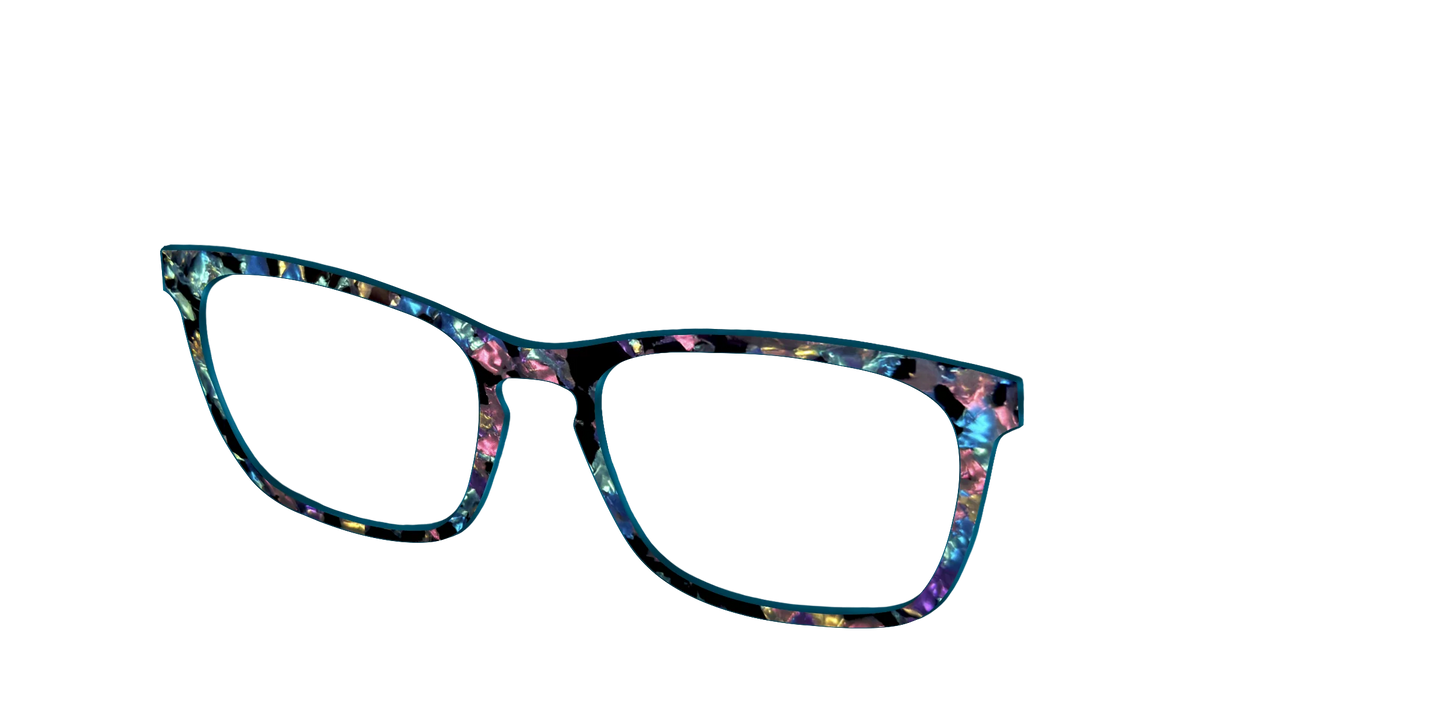 The Black Prismatic Pearl Tortoise