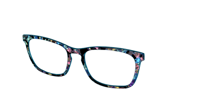 The Black Prismatic Pearl Tortoise