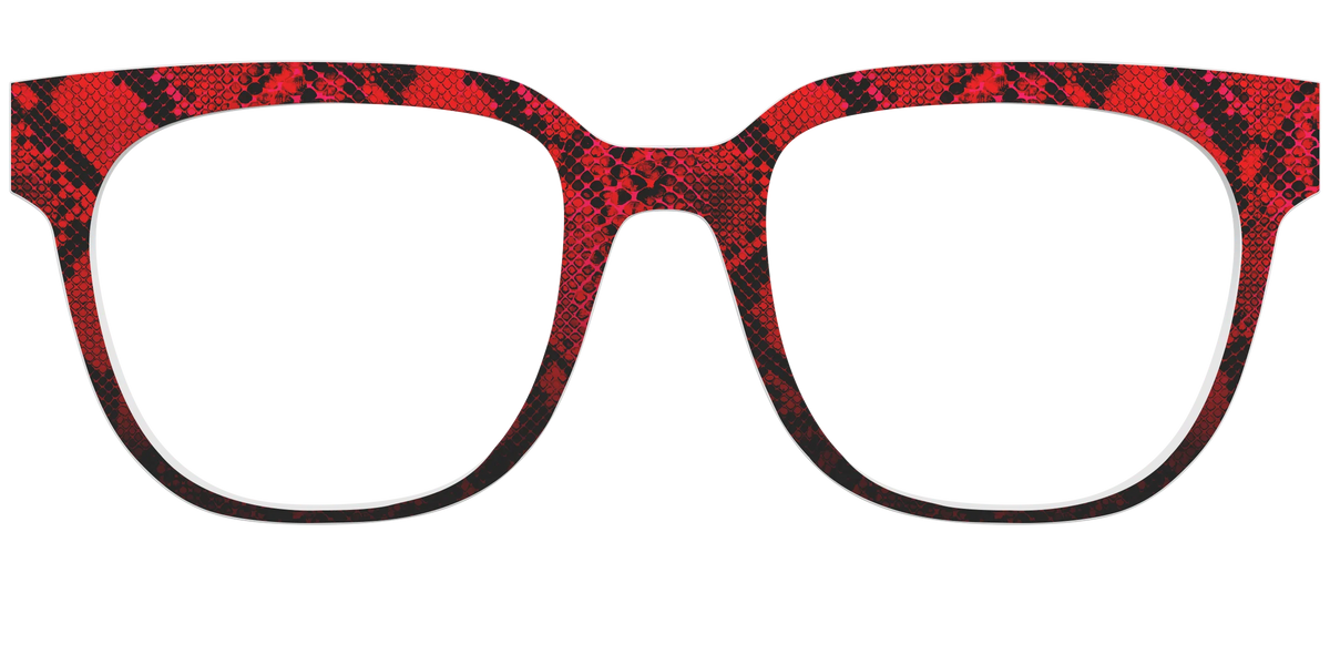 The Statement Snakeskin
